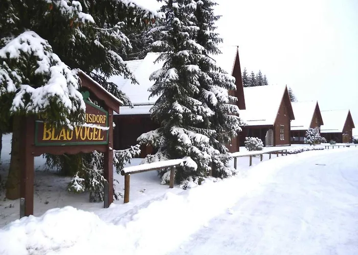 Holzferienhaeuser Im Naturerlebnisdorf Blauvogel